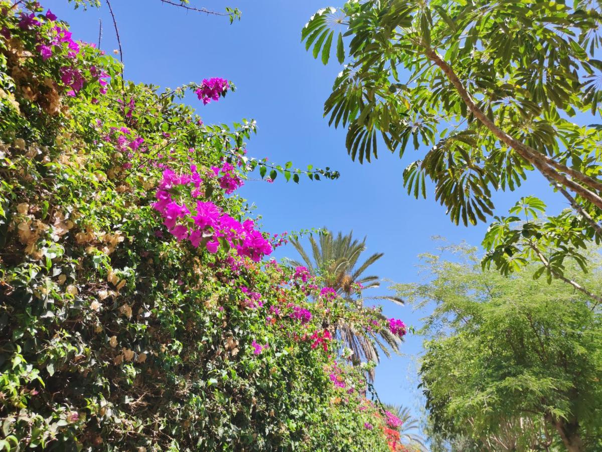 Villa Zinnia Πλάγια Μπλάνκα Εξωτερικό φωτογραφία